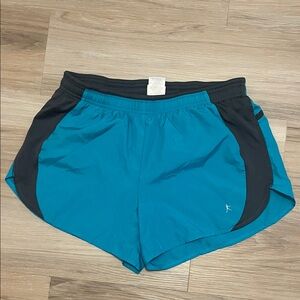 Danskin Now Teal and Black Shorts